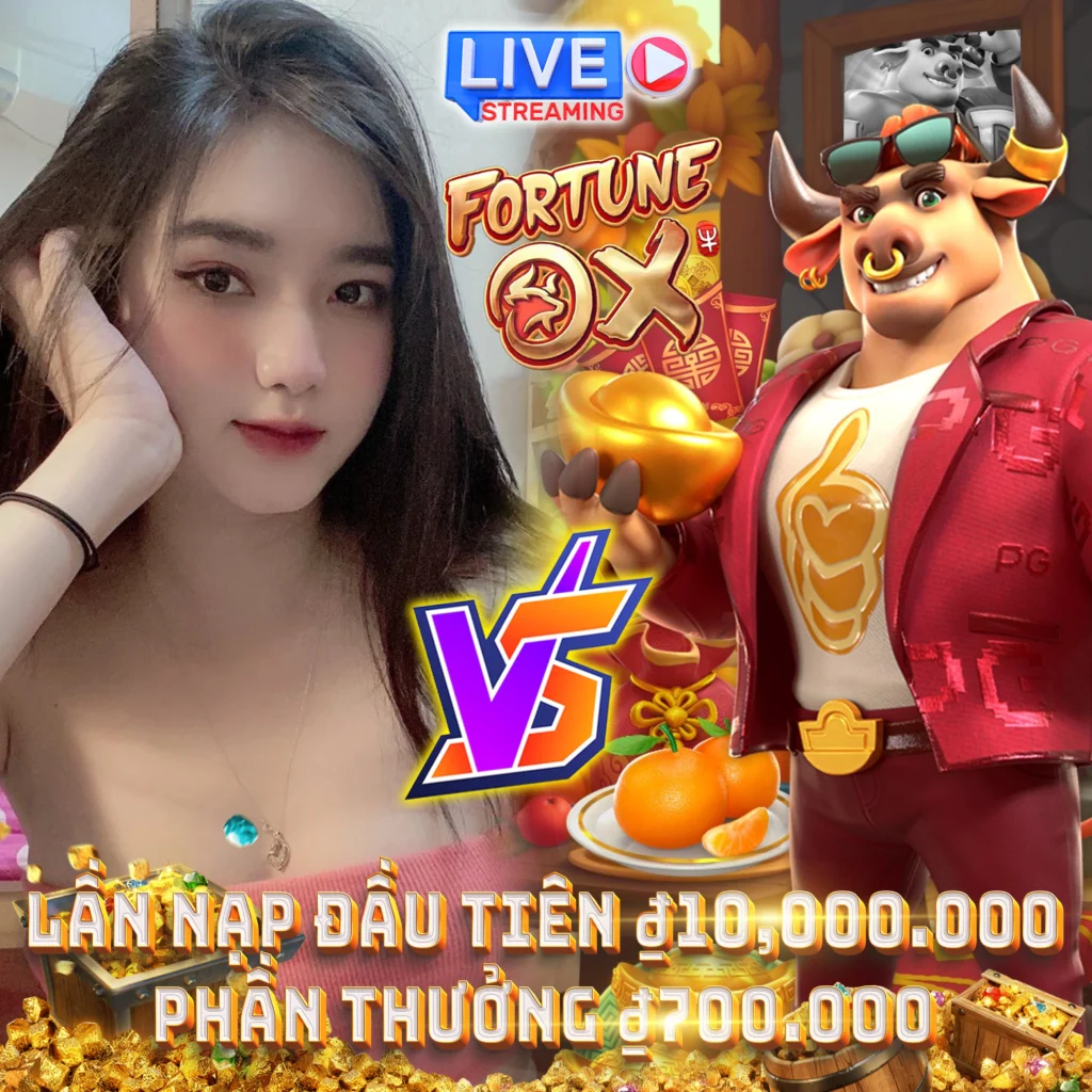 HOT51 apk mod casino and live stream